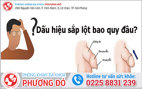 Phòng khám đa khoa Phượng Đỏ Hải Phòng