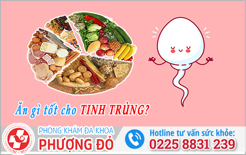 Ăn gì tốt cho tinh trùng? TOP 10+ thực phẩm nên ăn