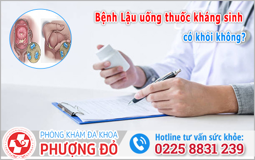 Bệnh Lậu Uống Thuốc Kháng Sinh Có Khỏi Không? Bác Sĩ Giải Đáp