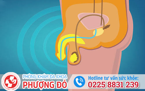 Phòng khám đa khoa Phượng Đỏ Hải Phòng