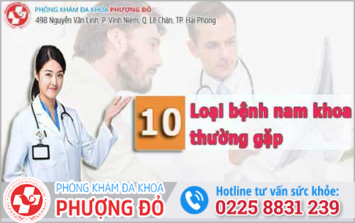 Phòng khám đa khoa Phượng Đỏ Hải Phòng