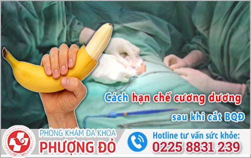 Cách hạn chế cương dương sau khi cắt bao quy đầu cho quý ông