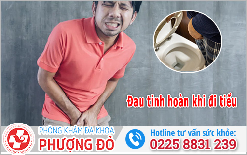 Đau tinh hoàn khi đi tiểu: Nguyên nhân & cách chữa hiệu quả