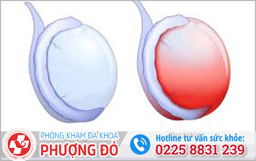 Phòng khám đa khoa Phượng Đỏ Hải Phòng