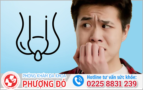 Nguyên nhân dương vật chảy mủ và Cách chữa hiệu quả