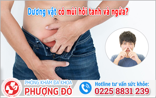 Tại sao dương vật có mùi hôi tanh và ngứa? Cách xử lý thế nào?