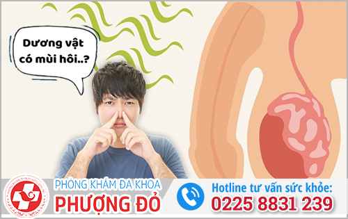 Tại sao dương vật có mùi hôi và Cách loại bỏ mùi hôi