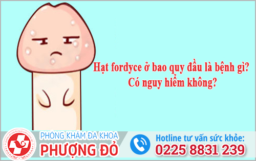 Hạt fordyce ở bao quy đầu là bệnh gì? Có nguy hiểm không?