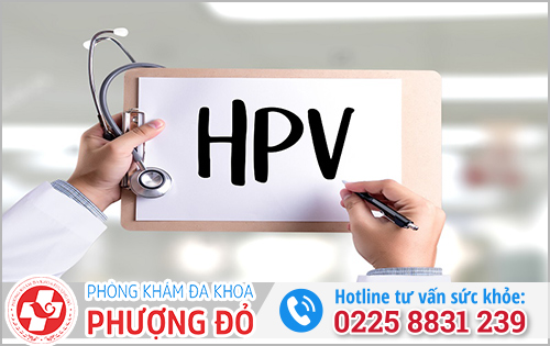 HPV là gì? Hiểu đúng về virus HPV và các bệnh liên quan