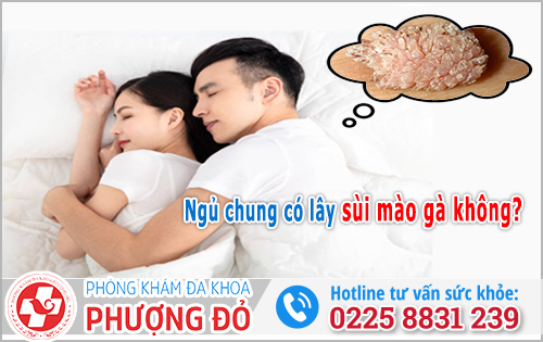 Ngủ chung có lây sùi mào gà không? Giải đáp từ chuyên gia