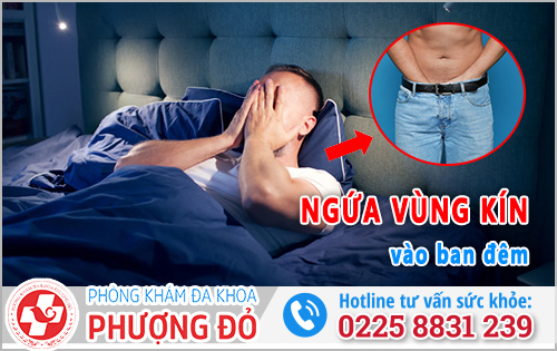 Ngứa vùng kín nam vào ban đêm: Nguyên nhân và Cách xử lý