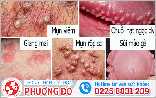 Phòng khám đa khoa Phượng Đỏ Hải Phòng