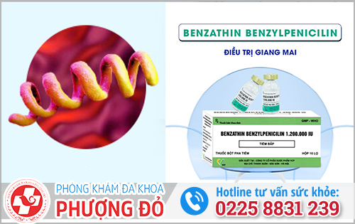 Tất tần tật thông tin về thuốc Penicillin điều trị giang mai