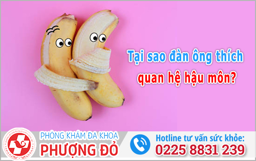 Tại sao đàn ông thích quan hệ hậu môn? Bác sĩ chia sẻ góc nhìn thật