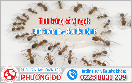 Tinh trùng có vị ngọt: Bình thường hay dấu hiệu bệnh?