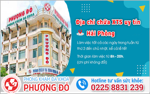 TOP 3 địa chỉ chữa xuất tinh sớm uy tín ở Hải Phòng (So sánh chi tiết)