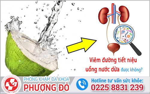 Viêm đường tiết niệu uống nước dừa được không?