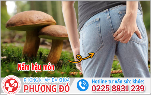 Nấm hậu môn