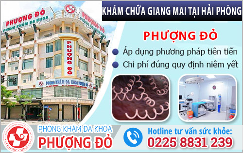 Khám chữa bệnh giang mai tại Phòng Khám Đa Khoa Phượng Đỏ