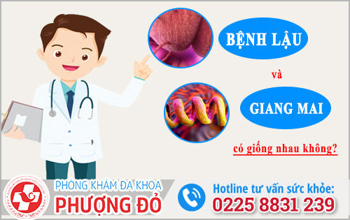 Bệnh lậu và giang mai có giống nhau không?