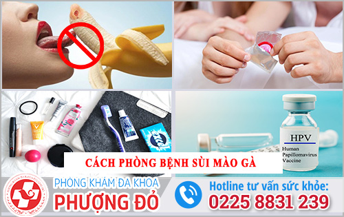 Cách phòng bệnh sùi mào gà 