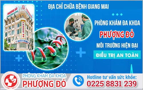 Địa chỉ thăm khám và điều trị giang mai ở Hải Phòng