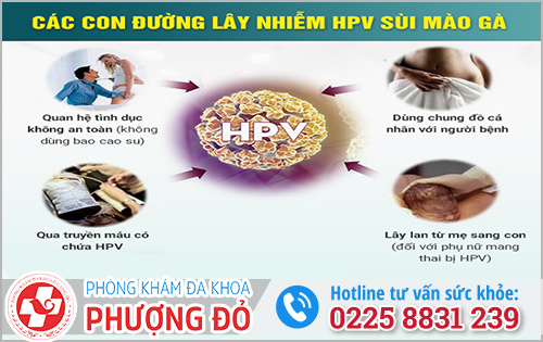 Vì sao không quan hệ nhưng bị sùi mào gà?