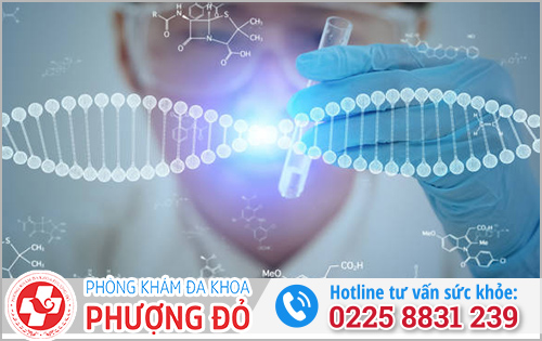 Đối tượng được chỉ định liệu pháp Gene sinh học INT