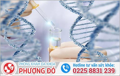 Liệu pháp INT chữa mụn rộp sinh dục có tốt không?