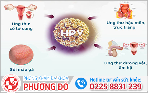 HPV gây ra những bệnh gì?