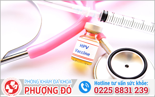 Phòng tránh HPV