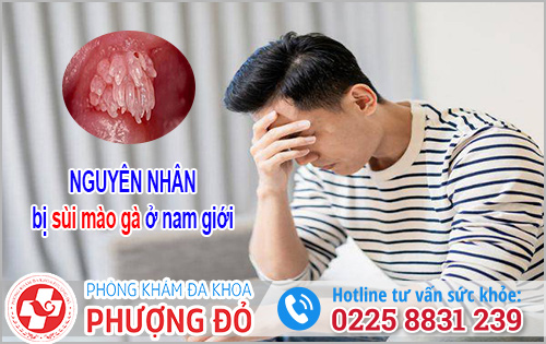 Nguyên nhân bị sùi mào gà ở nam giới