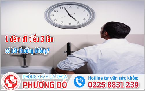 1 đêm đi tiểu 3 lần