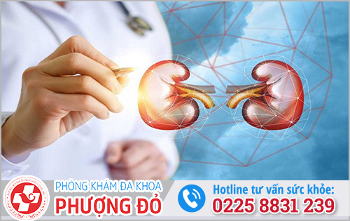 Cách 2 tiếng đi tiểu 1 lần