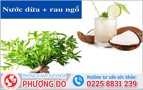 Cách uống nước dừa trị viêm đường tiết niệu