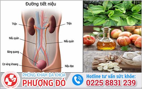 Cách chữa viêm đường tiết niệu ở nam tại nhà theo Đông Y