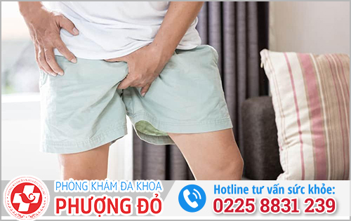 Nguyên nhân gây ngứa vùng kín nam giới