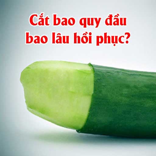 Giải đáp thắc mắc: Cắt bao quy đầu bao lâu hồi phục?