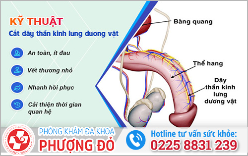 Cắt dây thần kinh lưng dương vật chữa được xuất tinh sớm không?