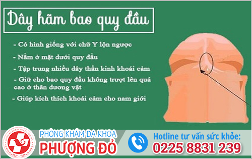 Thông tin cơ bản thủ thuật cắt dây hãm bao quy đầu