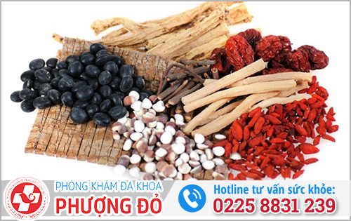 Thuốc đông y trị viêm bao quy đầu nam giới