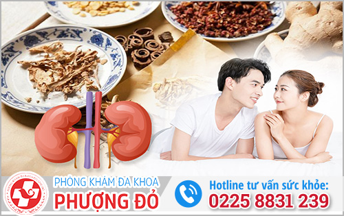 Thuốc bắc chữa xuất tinh sớm