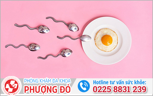 Lưu ý chữa xuất tinh sớm bằng trứng gà