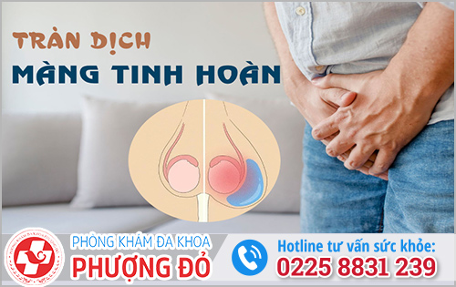 Dương vật cương cứng lâu bị đau tinh hoàn