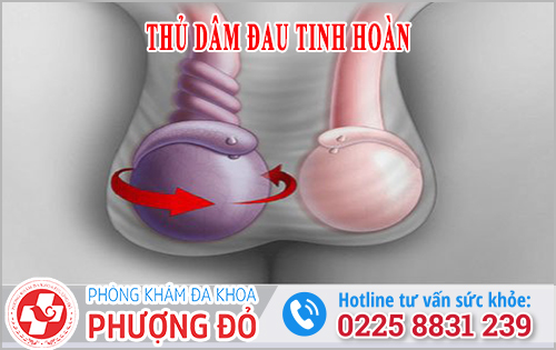 Thủ dâm đau tinh hoàn