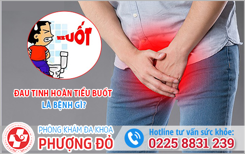 Đau tinh hoàn tiểu buốt là bệnh gì?