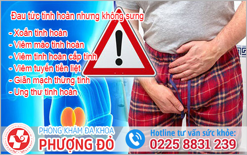 Đau tinh hoàn nhưng không sưng là bệnh gì?