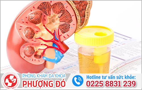 Nước tiểu có bọt tan nhanh