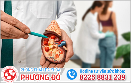 Đi tiểu có bọt lâu tan phải làm sao?