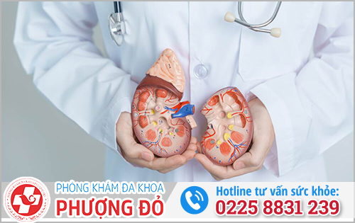 Đi tiểu xong bị đau bụng dưới thì nên làm gì?